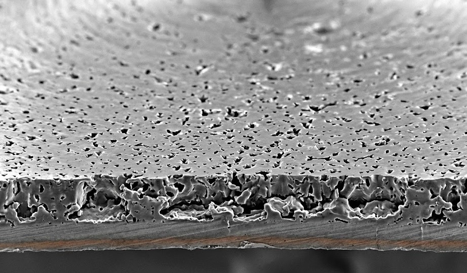 物理学で紐解くタンパク質が固着するメカニズム