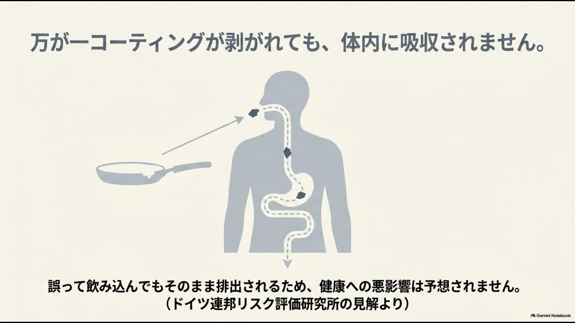 PTFEコーティングの小さな粒子を誤って飲み込んでも通常は消化されず排出されることを示した図